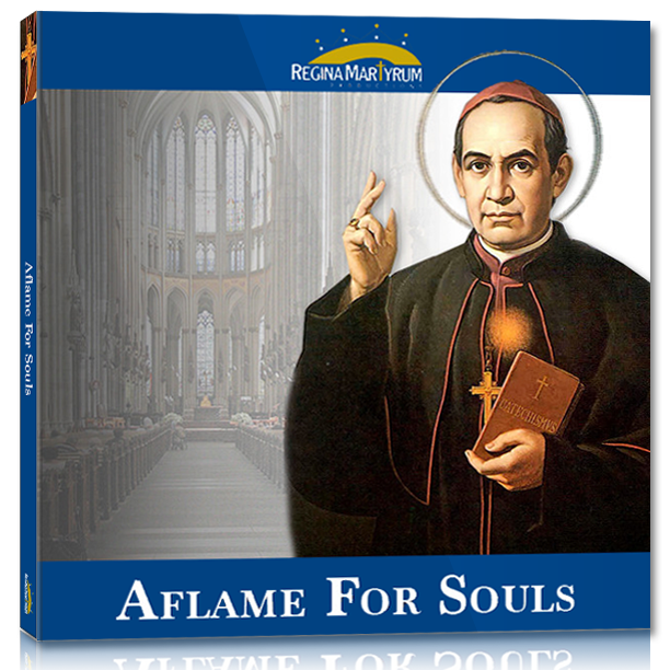 St. Anthony Mary Claret - Aflame for Souls